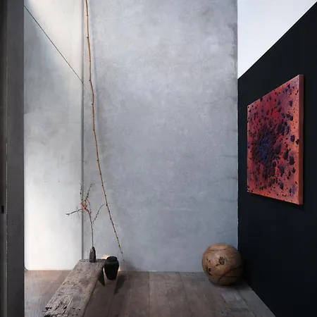 Shelter 7 Γάνδη